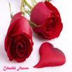 Flower Images APK