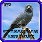 Canto de Tiziu Pardo Dando Show New Offline أيقونة