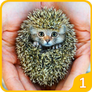 Animal Morph : Hybrid Animals Factory Simulator 1 APK