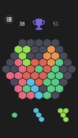 Block Hexa Puzzle স্ক্রিনশট 1