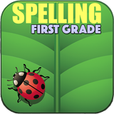 Practice Spelling for grade 1 আইকন