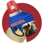 Montréal Hockey Photo Editor иконка