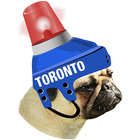 Toronto Hockey Photo Editor icon
