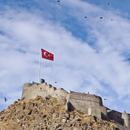 Kars Mobil APK