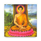 Từ điển Phật học ไอคอน