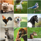 آیکون‌ Animal Sounds V1