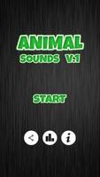 Poster Animal Sounds V1