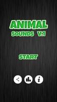 پوستر Animal Sounds V1