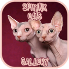 Sphynx Cat Gallery 圖標