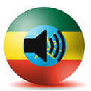 Amharic to Arabic Translate-APK