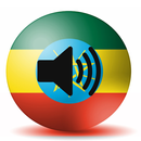 Amharic to Arabic Translate APK