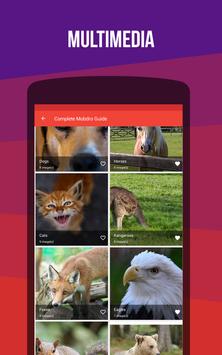 Most used free dating apps