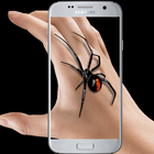Spider In Hand Prank Funny Joke أيقونة