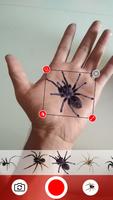 Spider In Hand Prank Funny Joke الملصق