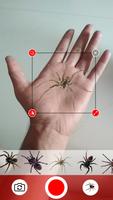 Spider In Hand Prank Funny Joke syot layar 1