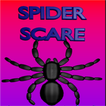 spider.scare