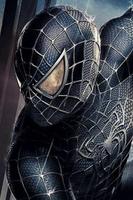 Spiderman Wallpaper HD The Best and Amazing screenshot 2