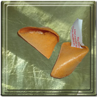 Fortune Cookie Widget Free 圖標