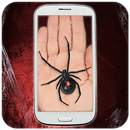 Magic Insect and Spider Camera APK