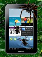 Spider in phone Prank स्क्रीनशॉट 2
