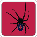 Solitaire Spider APK