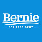 Bernie Sanders 2016 icône