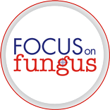 Focus on Fungus