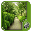 Garden Hedges Types Design APK