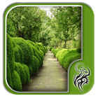 آیکون‌ Garden Hedges Types Design