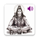 Lingashtakam in Hindi (Shiva) APK