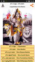 Lingashtakam-Malayalam (Shiva) plakat