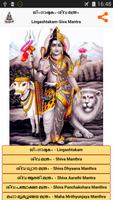 Lingashtakam-Malayalam (Shiva) Plakat