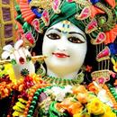 Krishna Chalisa Aarti Ashtakam APK