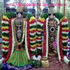Tamil Thiruppavai All Songs Videos آئیکن