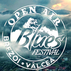 Open Air Blues Festival Brezoi أيقونة