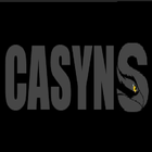 Casyns icon