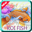 KOI Fish Wonder