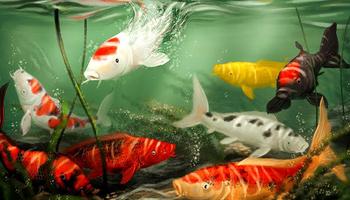 KOI Fish Wonder পোস্টার