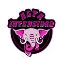 Alta Intensidad Gym APK