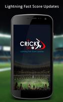 Crickshot Live Cricket Scores 海报