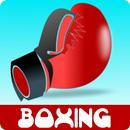 Boxing Lessons APK
