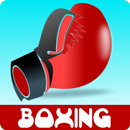 Leçons de boxe APK