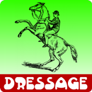 Equestrian Dressage APK