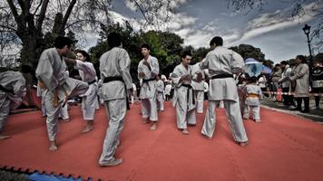 Karate Training 스크린샷 1