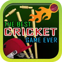 The Best Cricket Game Ever