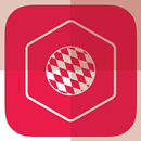 SF - Bayern Munich Edition APK