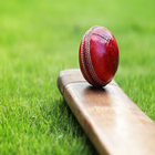 Cricket Betting Tips CPL T20 2018 icon
