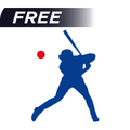 Baseball Lessons
