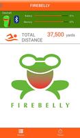 Firebelly постер