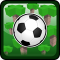 Voxel Soccer